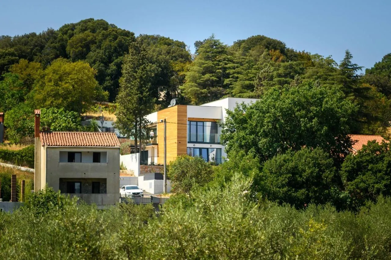 Villa Barmel II Vintijan Croatia